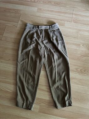 Everlane Brown Chino Pleated Tapered Casual Pants Women’s 6